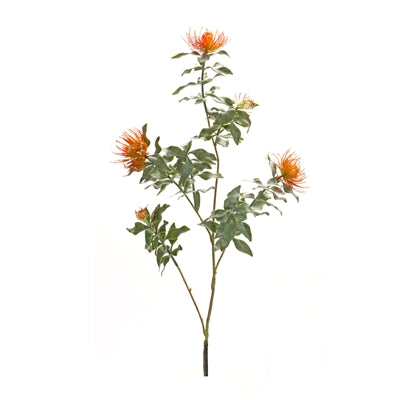 34.25" Protea Stem - Orange