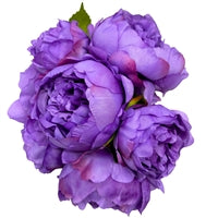 11" Perfect Peony Bouquet x7 - PURPLE