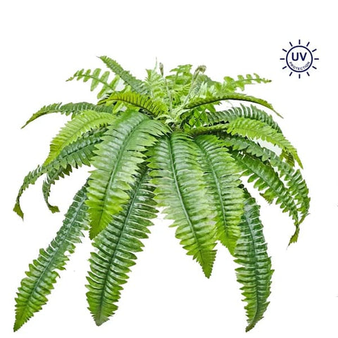 37" UV Protected Boston Fern Bush 6 Stems, 36 Leaves - Green