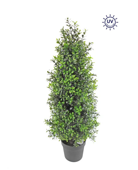 30" Boxwood Tree In Pot - UV Protected - Mixed Green