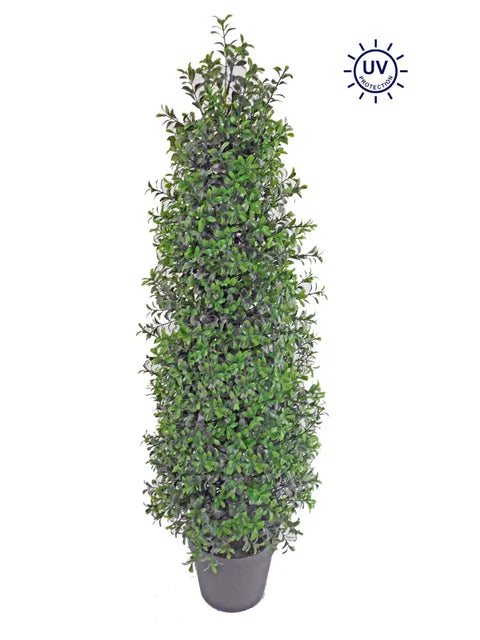 36" Boxwood Tree In Pot - UV Protected - Mixed Green
