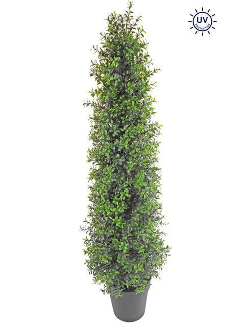48" Boxwood Tree In Pot - UV Protected - Mixed Green