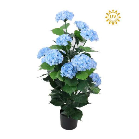 36" Hydrangea Bush Potted - UV Protected - Blue