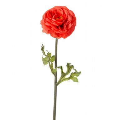 19" Ranunculus Spray - Salmon