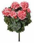 17" Just Cut Geranium Bush - Salmon