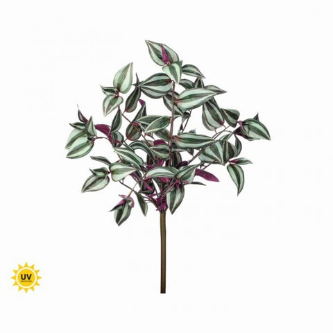 19" UV Tradescanthia Bush - Purple/Green