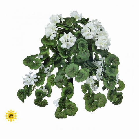 27" Hanging Geranium Plant - White - UV Treated