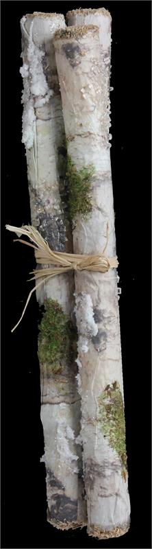 11.75" Moss, Snow & Ice Faux Birch Log Bundle - White/Natural