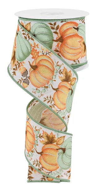 Aqua & Orange Pumpkins & Leaves Wired Ribbon - 2.5" x 10yds