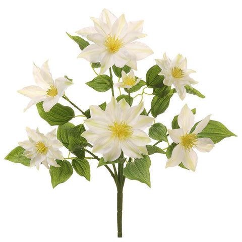 14.5" Clematis Bush - White