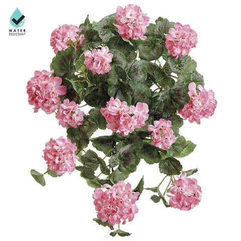 22" Geranium Hanging Bush - Pink