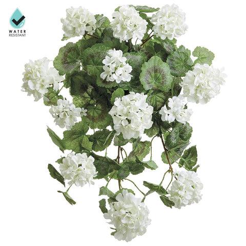 22" Geranium Hanging Bush - White