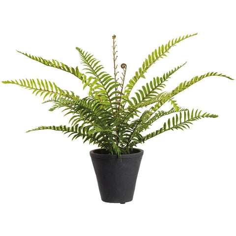 16" Soft PE Boston Fern Plant in Cement Pot - Green
