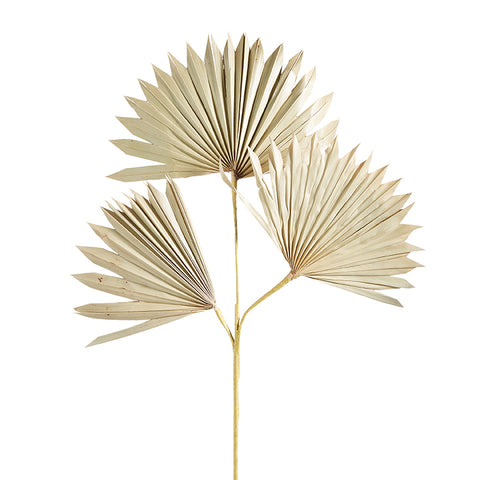 28" Dried Palm Spray