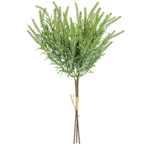 9" Astilbe Bundle x3 - Green Sage