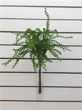 Weeping Pine Grass Bundle x3 - Green