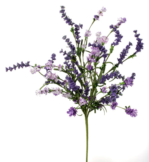 23" Clover Berry Bush - Lavender