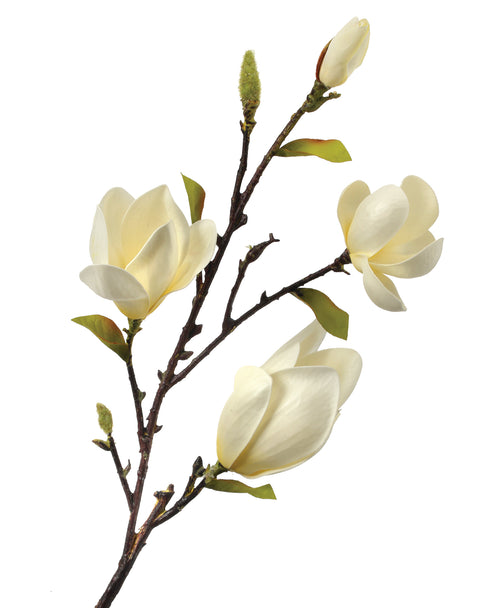 34" Eva Saucer Magnolia Spray - White