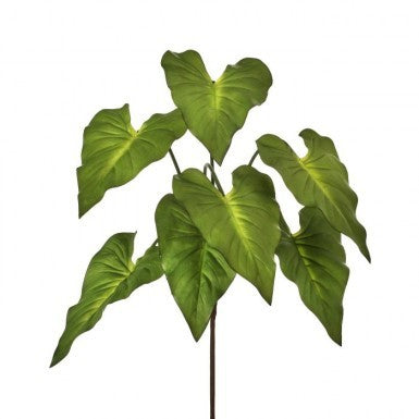 25" Natural Touch Taro Plant x7 - Green