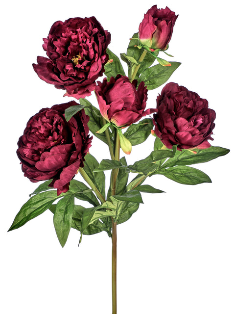 32" Deluxe Peony Spray - Burgundy