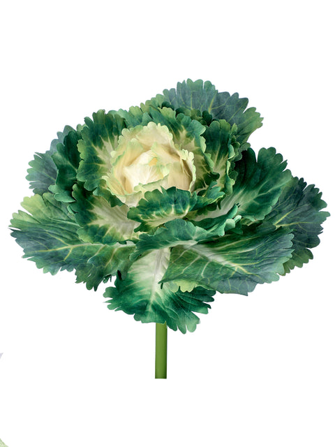 7.25" Kale Pick - Green/Cream