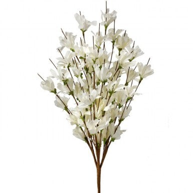 20" Forsythia Bush - White