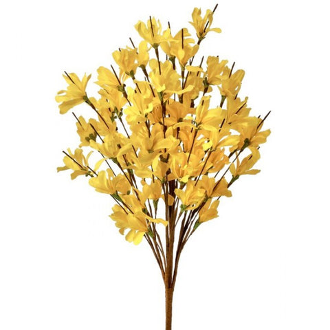 20" Forsythia Bush - Yellow