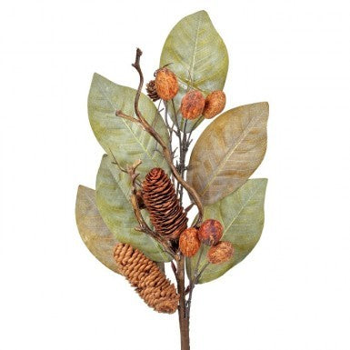 25" Dried Magnolia Leaf w/ Nuts & Cones Spray