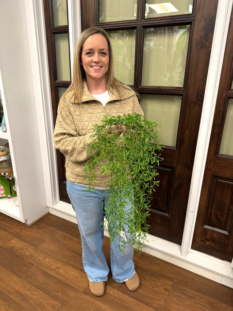 29" Sprengeri Fern Hanging Bush - UV Protected - Green