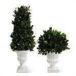 Set of 2 - Boxwood in Gray Wash Urn