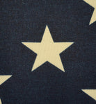 Outdoor Pillow-Navy with Stars