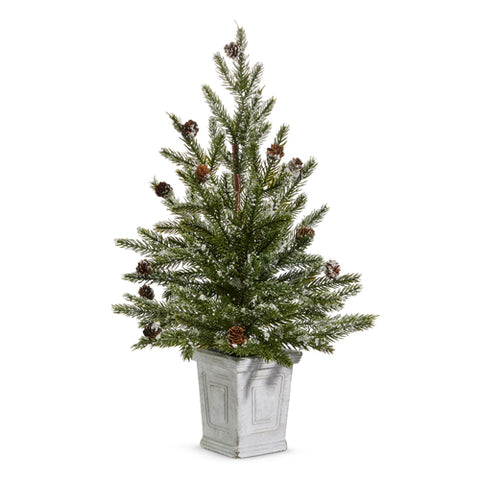 22" Pine Tree in a White Planter