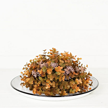 12" Seeded Eucalyptus Half Sphere - Fall Mix