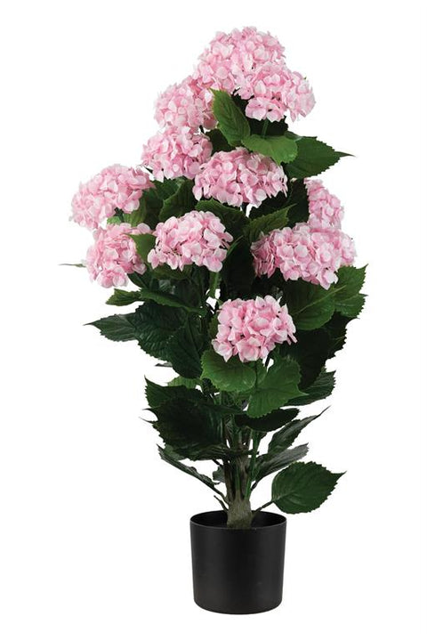 35" Hydrangea Bush in Pot - UV Proof - Pink