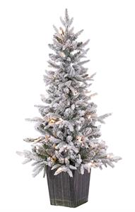 4' Potted Flocked Frasier Fir With Clear Lights - Green/White