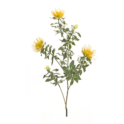 34.25" Protea Stem - Yellow