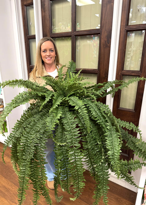 45" x 57" JUMBO Boston Fern - UV Protected - Two Tone Green