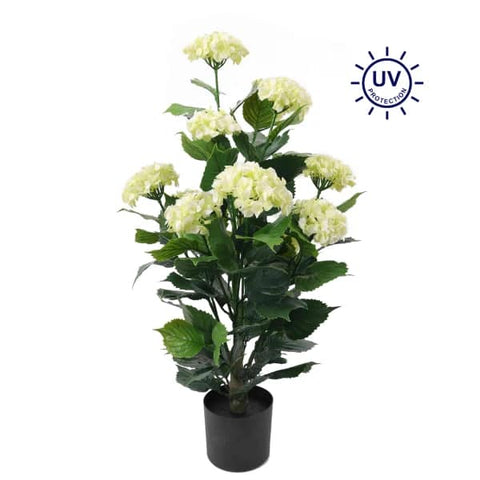 36" Hydrangea Bush Potted - UV Protected - Cream
