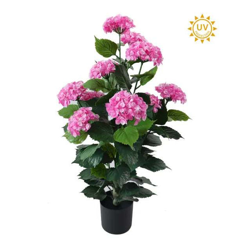 36" Hydrangea Bush Potted - UV Protected - Hot Pink