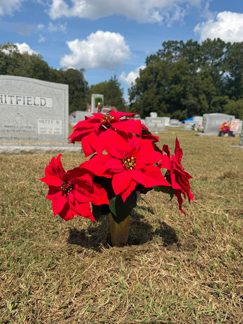 23" Poinsettia Bush x5 - Red