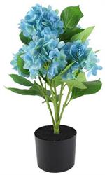 21.75"H - POTTED HYDRANGEA PLANT - BLUE