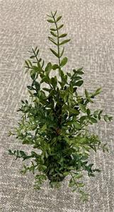 24" Potted Boxwood Tree - Green