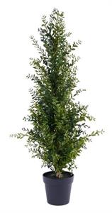 48" Potted Boxwood Tree - Green
