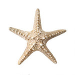 POLYSTONE STARFISH 8"