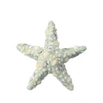 COASTAL SHELL STARFISH 6.75"