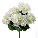 HYDRANGEA BUSH X5 18" - White