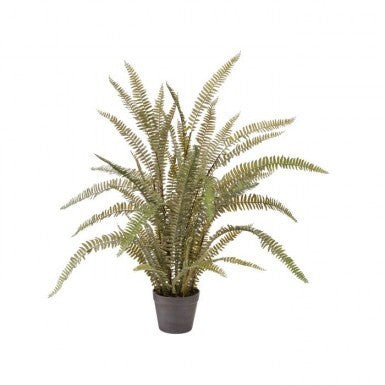 UV TREATED PLASTIC NATURAL TOUCH FERN in POT - 36"
