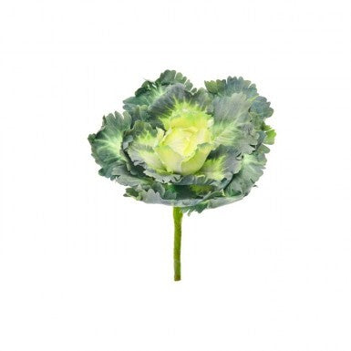 7" Ruffle Kale Pick - Cream/Green