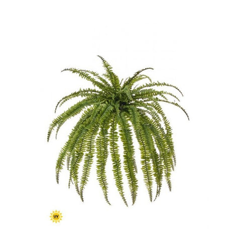 45" x 57" Jumbo Boston Fern - UV Protected - Two Tone Green