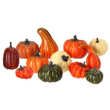 2-4" Mixed Harvest Pumpkin/Gourd - Box Set of 12